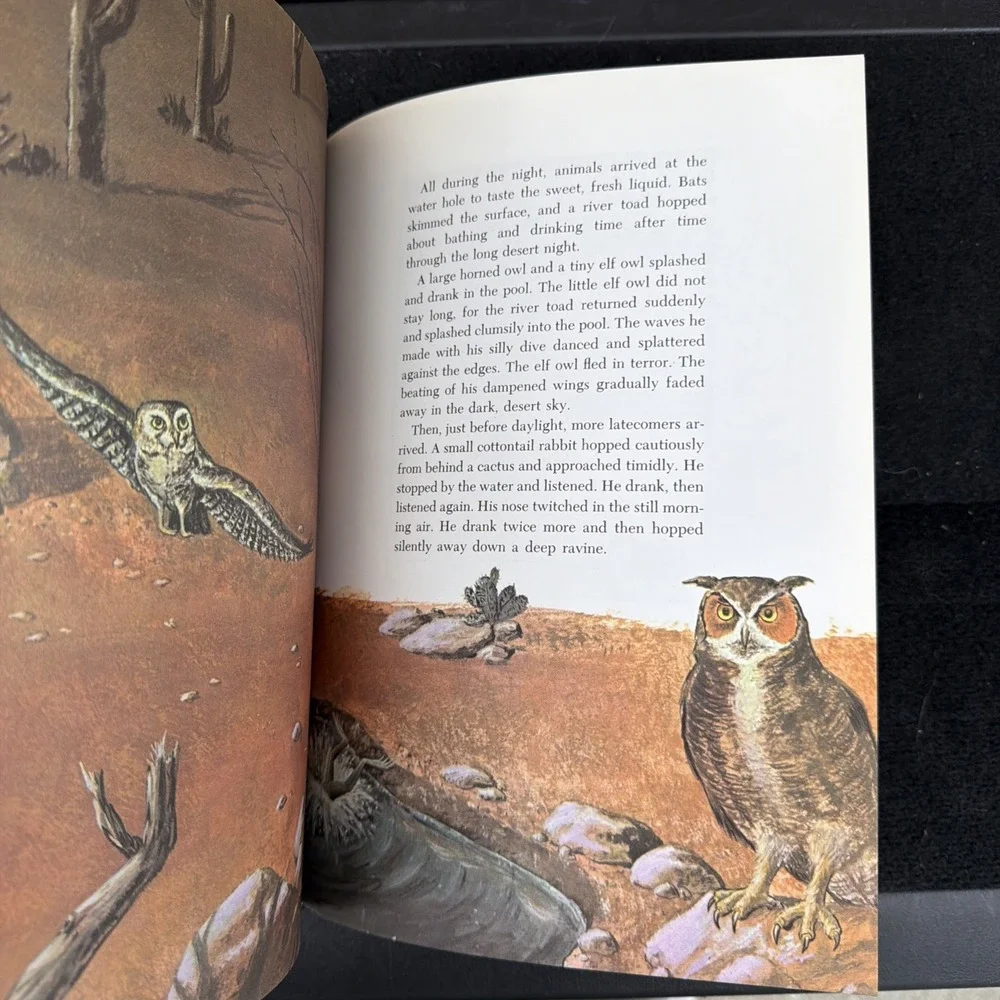 The Desert Water Hole Nature‎ Adventure Book Arizona Highways Magazine Rare 1962